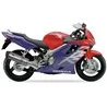IXIL HONDA CBR 600 F 99-00 (PC35) OH6049VSE