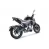 GPR Cf Moto 300 NK 2022-2024 e5 E5.CF.8.CAT.PCEV