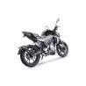 GPR CF.8.RACEDB.DE GPR Cf Moto 300 NK 2022-2024 e5 CF.8.RACEDB.DE