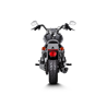 Akrapovic HD Dyna FXD Super Glide S-HDDYSO2-HC