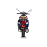 Akrapovic Vespa GTS Super 300 S-VE3SO11-ZDFSS