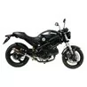 Mivv GP Carbone Ducati MONSTER 695