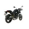 Mivv GP Carbone Ducati MONSTER 695