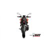 Mivv GPpro Carbon Ktm 390 DUKE