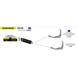 Arrow Exhaust Kawasaki ER-6N