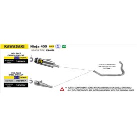 Arrow Exhaust Kawasaki Ninja 400 - Indy Race