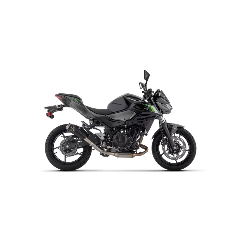 Arrow Exhaust Kawasaki Z 500 - Pro-Race