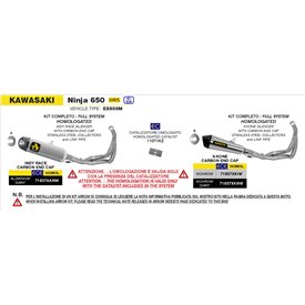 Arrow Exhaust Kawasaki Z 650 - Indy Race