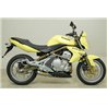 Arrow Exhaust Kawasaki ER-6N - ER-6F