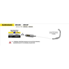 Arrow Exhaust Kawasaki ER-6N - ER-6F