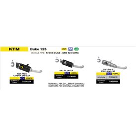 Arrow Exhaust Ktm Duke 125 - Indy Race