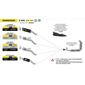 Arrow Exhaust Kawasaki Z 900 - Pro-Race