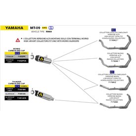 Arrow Exhaust Yamaha MT-09 - Works