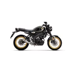 Arrow Exhaust Yamaha XSR 125 - Racing