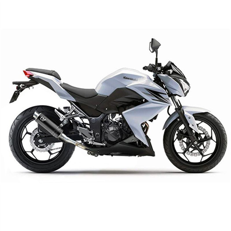 Leovince Kawasaki Z 250 - not compatible with Z 250 SL GP CORSA BLACK EDITION