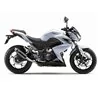 Leovince Kawasaki Z 250 - not compatible with Z 250 SL GP CORSA BLACK EDITION