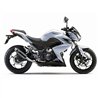 Leovince Kawasaki Z 250 - not compatible with Z 250 SL GP CORSA BLACK EDITION