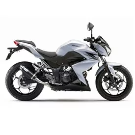 Leovince Kawasaki Z 250 - not compatible with Z 250 SL GP CORSA