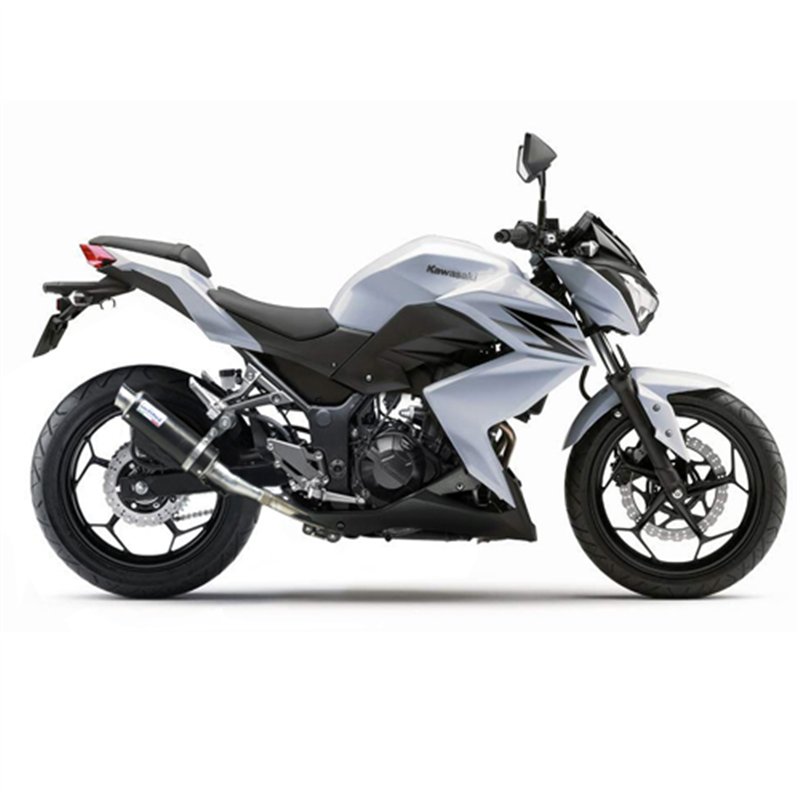 Leovince Kawasaki Z 250 - not compatible with Z 250 SL GP CORSA Leovince Kawasaki Z 250 - not compatible with Z 250 SL GP CORSA