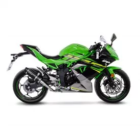 Leovince Kawasaki NINJA 125 GP CORSA EVO