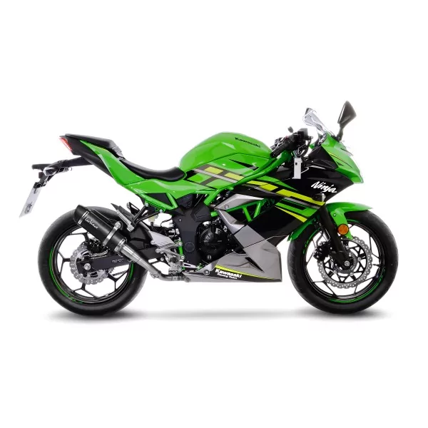 Leovince Kawasaki NINJA 125 GP CORSA EVO