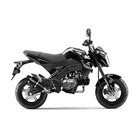 Leovince Kawasaki Z 125 PRO MINI NAKED GP CORSA EVO