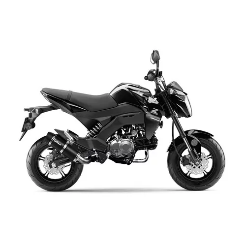 Leovince Kawasaki Z 125 PRO MINI NAKED GP CORSA EVO