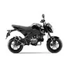 Leovince Kawasaki Z 125 PRO MINI NAKED GP CORSA EVO