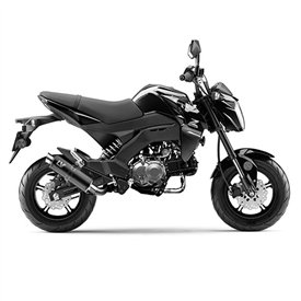 Leovince Kawasaki Z 125 PRO MINI NAKED GP CORSA BLACK EDITION