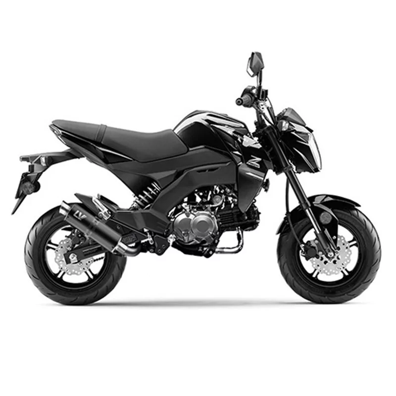 Leovince Kawasaki Z 125 PRO MINI NAKED GP CORSA BLACK EDITION