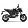 Leovince Kawasaki Z 125 PRO MINI NAKED GP CORSA BLACK EDITION