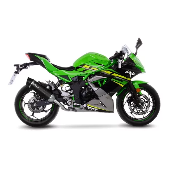 Leovince Kawasaki NINJA 125 LV ONE EVO CARBON FIBER