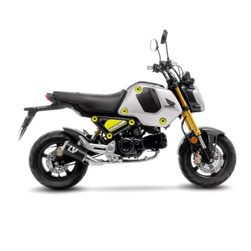 Leovince Honda MSX 125 / GROM LV-10 CARBON FIBER Leovince Honda MSX 125 / GROM LV-10 CARBON FIBER