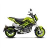 Leovince Benelli TNT TORNADO NAKED T 125 LV-10