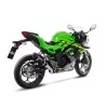 Leovince Kawasaki NINJA 125 GP CORSA EVO