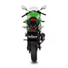 Leovince Kawasaki NINJA 125 GP CORSA EVO
