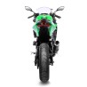 Leovince Kawasaki NINJA 400 GP CORSA 3389U