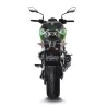 Leovince Kawasaki Z 900 LV PRO CARBON FIBER 14172E