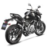 Leovince Kawasaki Z 650 LV ONE EVO CARBON FIBER 14182EU