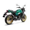 Leovince Kawasaki Z 650 RS LV ONE EVO CARBON FIBER