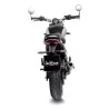 Leovince Triumph SPEED 400 GP ONE 15132