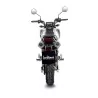 Leovince Honda MSX 125 / GROM LV-10 CARBON FIBER 15253CU