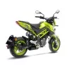 Leovince Benelli TNT TORNADO NAKED T 135 LV-10 CARBON FIBER 15262C