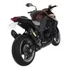 Exan Kawasaki Z 1000 Ovale Carbon Cap