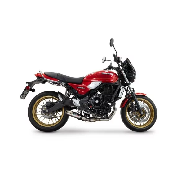 GPR Kawasaki Z 650 RS 2024/2025 e5 plus CO.K.196.RACEDB.DE