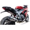 GPR Triumph Daytona 660 2023/2025 E5.T.100.CAT.GPAN.TO