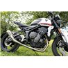 GPR Triumph Trident 660 2021/2024 e5 E5.T.95.RACEDB.PCEV
