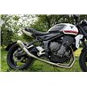 GPR Triumph Trident 660 2021/2024 e5 E5.T.95.RACEDB.PCEV