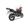GPR Triumph Trident 660 2021/2024 e5 E5.T.95.RACEDB.DE