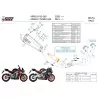 Mivv Komplette Sport-Auspuffanlage Schwarz Aprilia TUONO 660 A.014.LDRB + ACC.093.A1